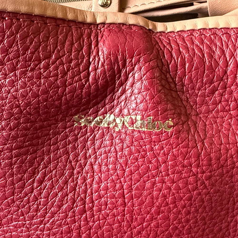Beautiful Red See By Chloe Crossbody Purse Excellent Condition - Picture 2 of 12